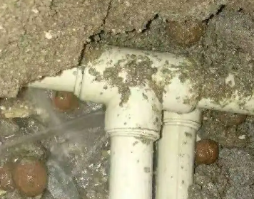 龙凤测漏水多少钱