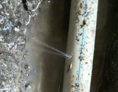 龙凤测漏水哪家好