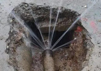 龙凤漏水检测多少钱