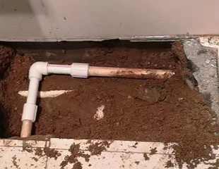 龙凤测漏水哪家好