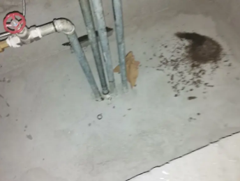 龙凤卫生间测漏水价格明细